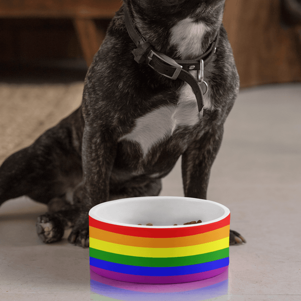 Rainbow Flag Pet Bundle - 65mcmlxv