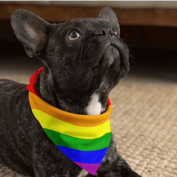Rainbow Flag Pet Bundle - 65mcmlxv