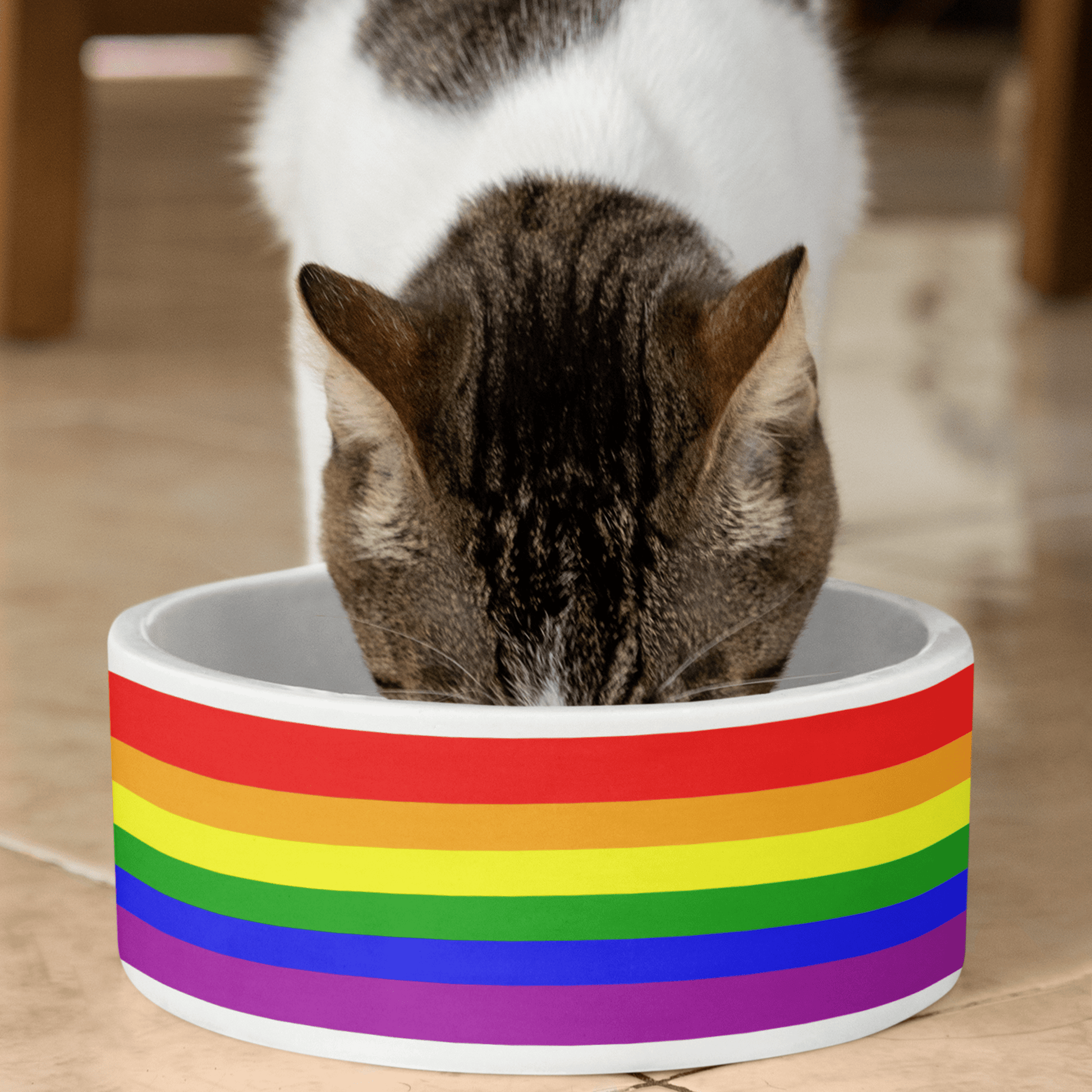 Rainbow Flag Pet Bundle - 65mcmlxv