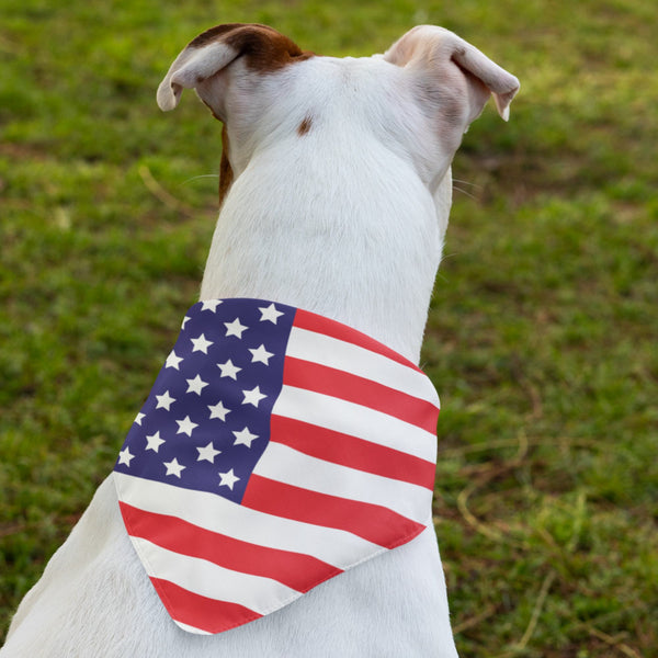 65 MCMLXV Americana USA Flag Print Pet Bandana - 65mcmlxv