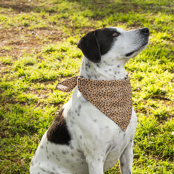 65 MCMLXV Cheetah Print Pet Bandana - 65mcmlxv