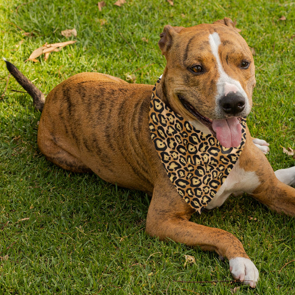 65 MCMLXV Jaguar Print Pet Bandana - 65mcmlxv