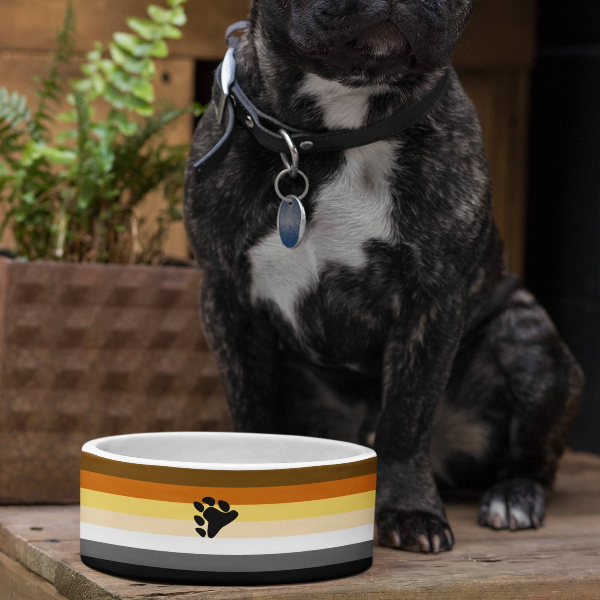 65 MCMLXV LGBT Bear Pride Flag Print Dishwasher Safe Ceramic Pet Bowl - 65mcmlxv