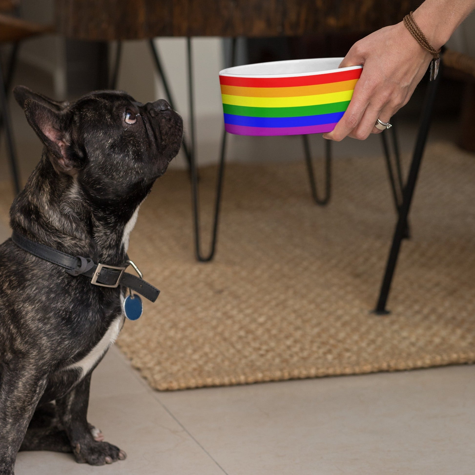 65 MCMLXV LGBT Gay Pride Rainbow Flag Print Dishwasher Safe Ceramic Pet Dog Bowl - 65mcmlxv