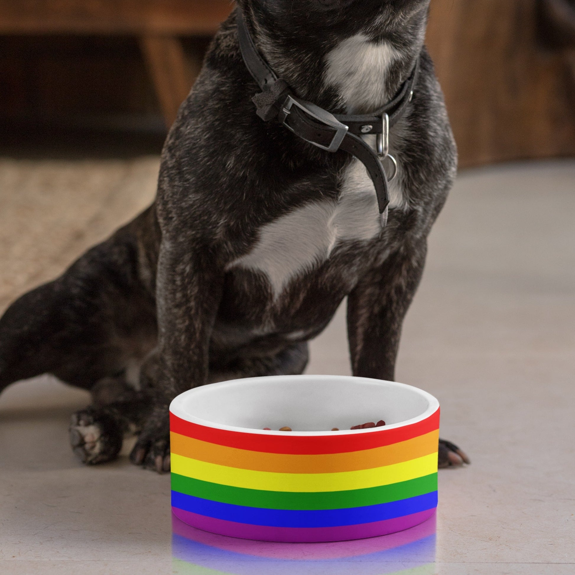 65 MCMLXV LGBT Gay Pride Rainbow Flag Print Dishwasher Safe Ceramic Pet Dog Bowl - 65mcmlxv