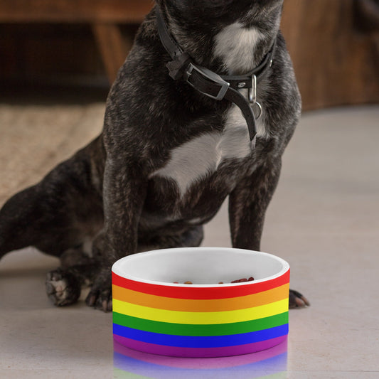 65 MCMLXV LGBT Gay Pride Rainbow Flag Print Dishwasher Safe Ceramic Pet Dog Bowl - 65mcmlxv