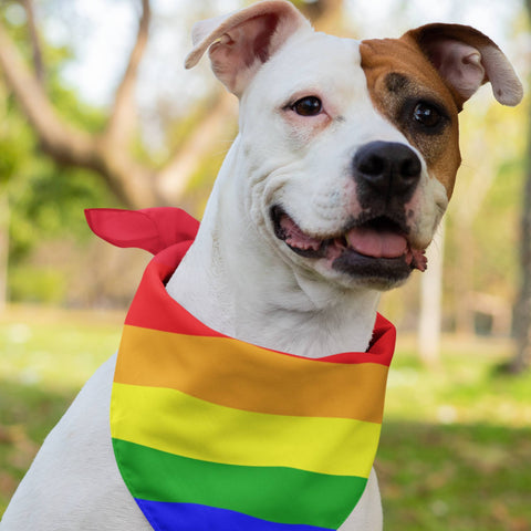 65 MCMLXV LGBT Gay Pride Rainbow Flag Print Pet Bandana Handkerchief 24x24 - 65mcmlxv