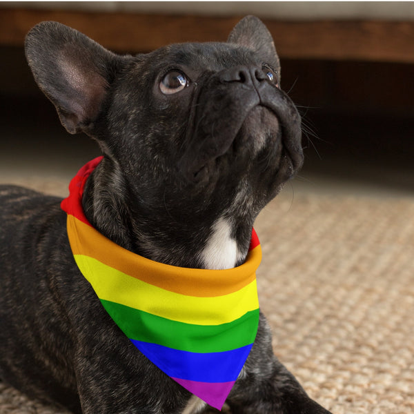 65 MCMLXV LGBT Gay Pride Rainbow Flag Print Pet Bandana Handkerchief 24x24 - 65mcmlxv