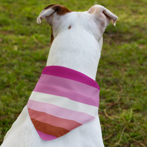 65 MCMLXV LGBT Lesbian Pride Flag Pet Bandana - 65mcmlxv