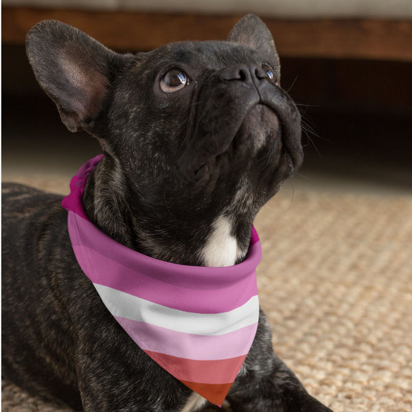 65 MCMLXV LGBT Lesbian Pride Flag Pet Bandana - 65mcmlxv