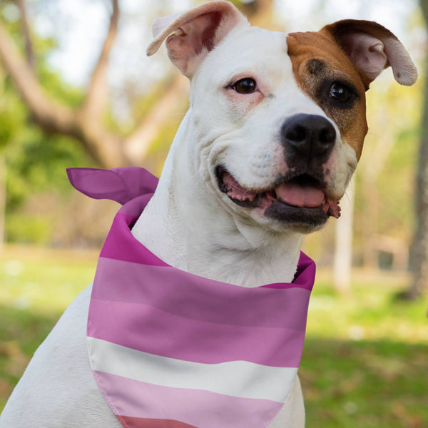 65 MCMLXV LGBT Lesbian Pride Flag Pet Bandana - 65mcmlxv