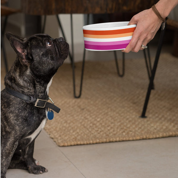 65 MCMLXV LGBT Lesbian Pride Sunset Flag Print Dishwasher Safe Ceramic Pet Bowl - 65mcmlxv