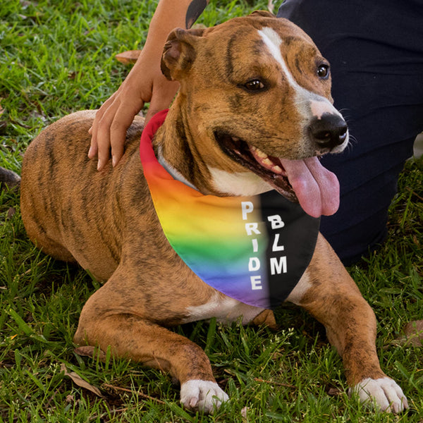 65 MCMLXV LGBT Pride Black Lives Matter Print Pet Dog Bandana Handkerchief 24x24 - 65mcmlxv