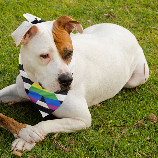 65 MCMLXV LGBT Straight Ally Flag Print Pet Dog Bandana Handkerchief 24x24 - 65mcmlxv
