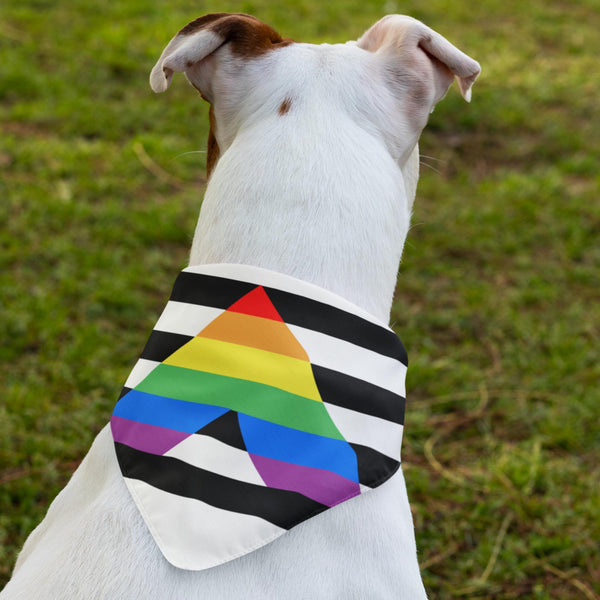 65 MCMLXV LGBT Straight Ally Flag Print Pet Dog Bandana Handkerchief 24x24 - 65mcmlxv
