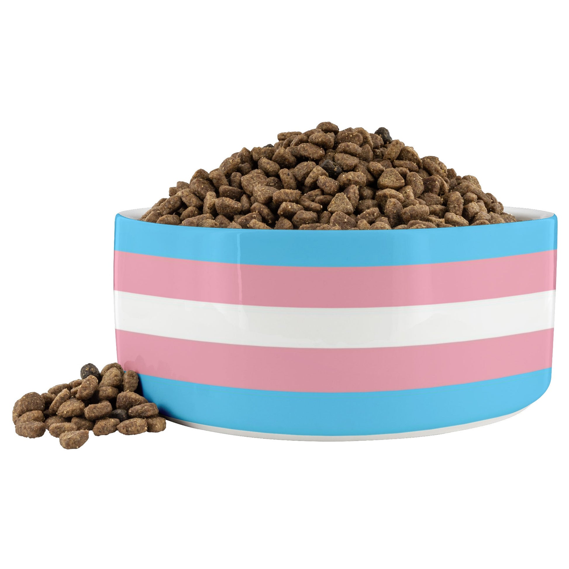 65 MCMLXV LGBT Transgender Pride Flag Print Dishwasher Safe Ceramic Pet Bowls - 65mcmlxv