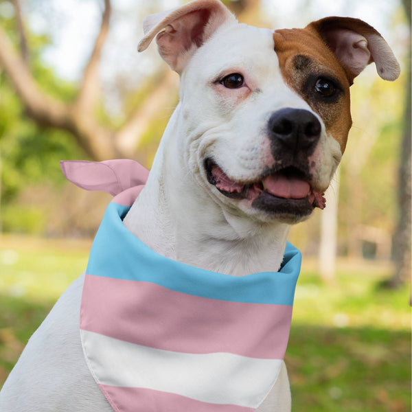 65 MCMLXV LGBT Transgender Pride Flag Print Pet Dog Bandana - 65mcmlxv