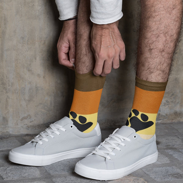 65 MCMLXV Men's LGBT Bear Pride Flag Print Socks - 65mcmlxv
