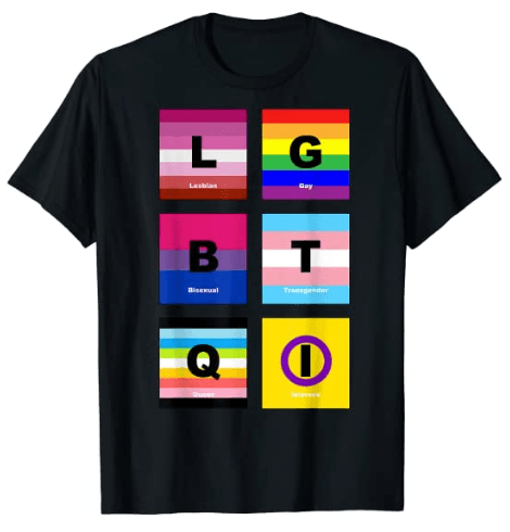 65 MCMLXV Unisex LGBTQI Pride Flags Graphic T-Shirt - 65mcmlxv