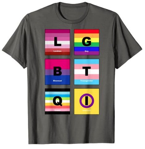 65 MCMLXV Unisex LGBTQI Pride Flags Graphic T-Shirt - 65mcmlxv